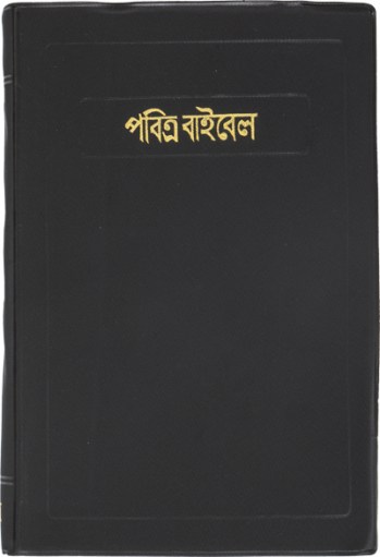 Bengali Biblia_400